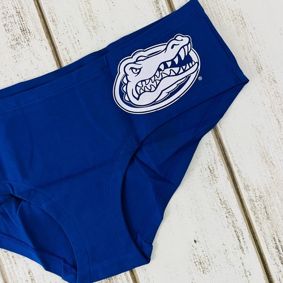 VS PINK Florida Gators Hipster Pantie Large Vintage Retired Style - Picture 4 of 6